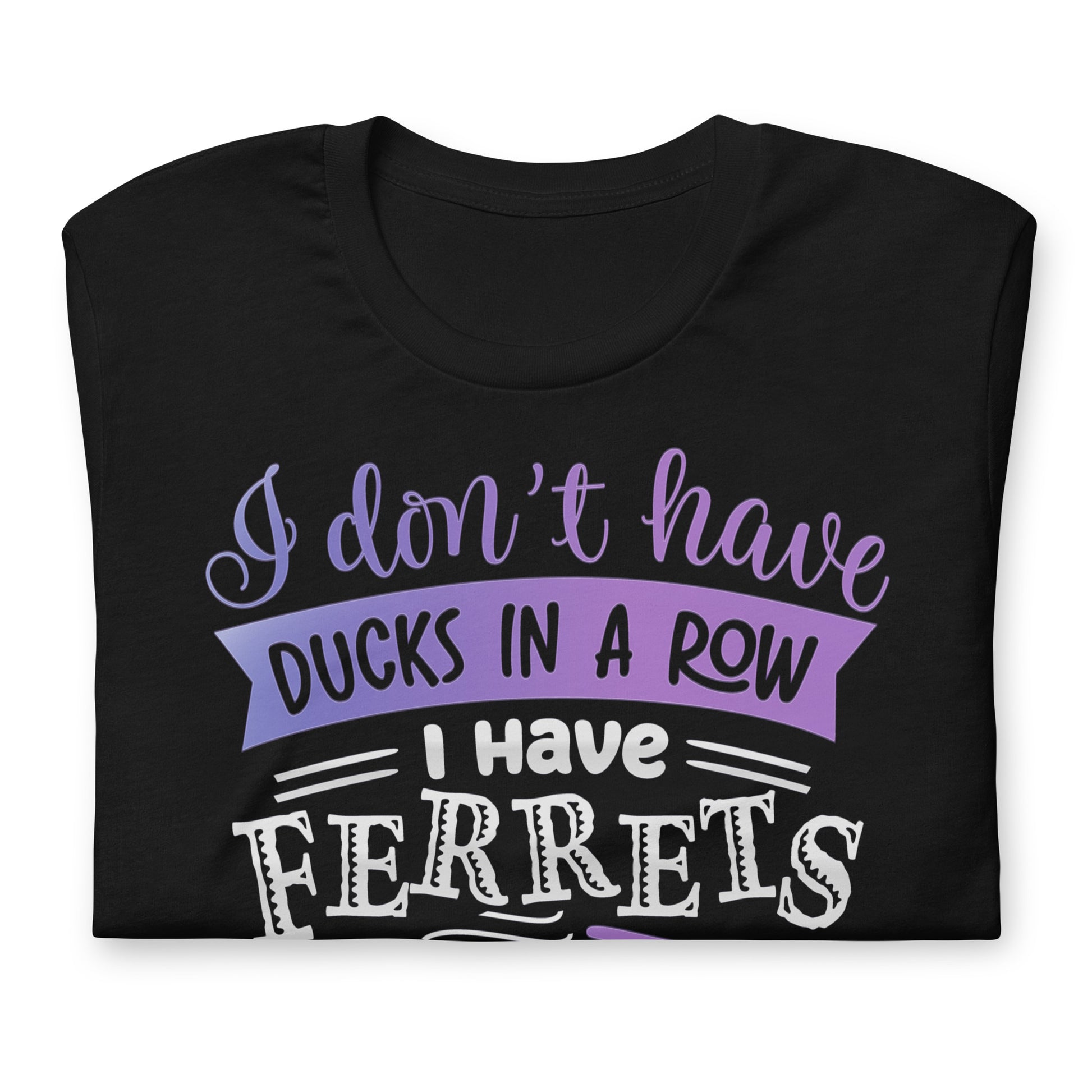 I Have Ferrets Everywhere T-Shirt